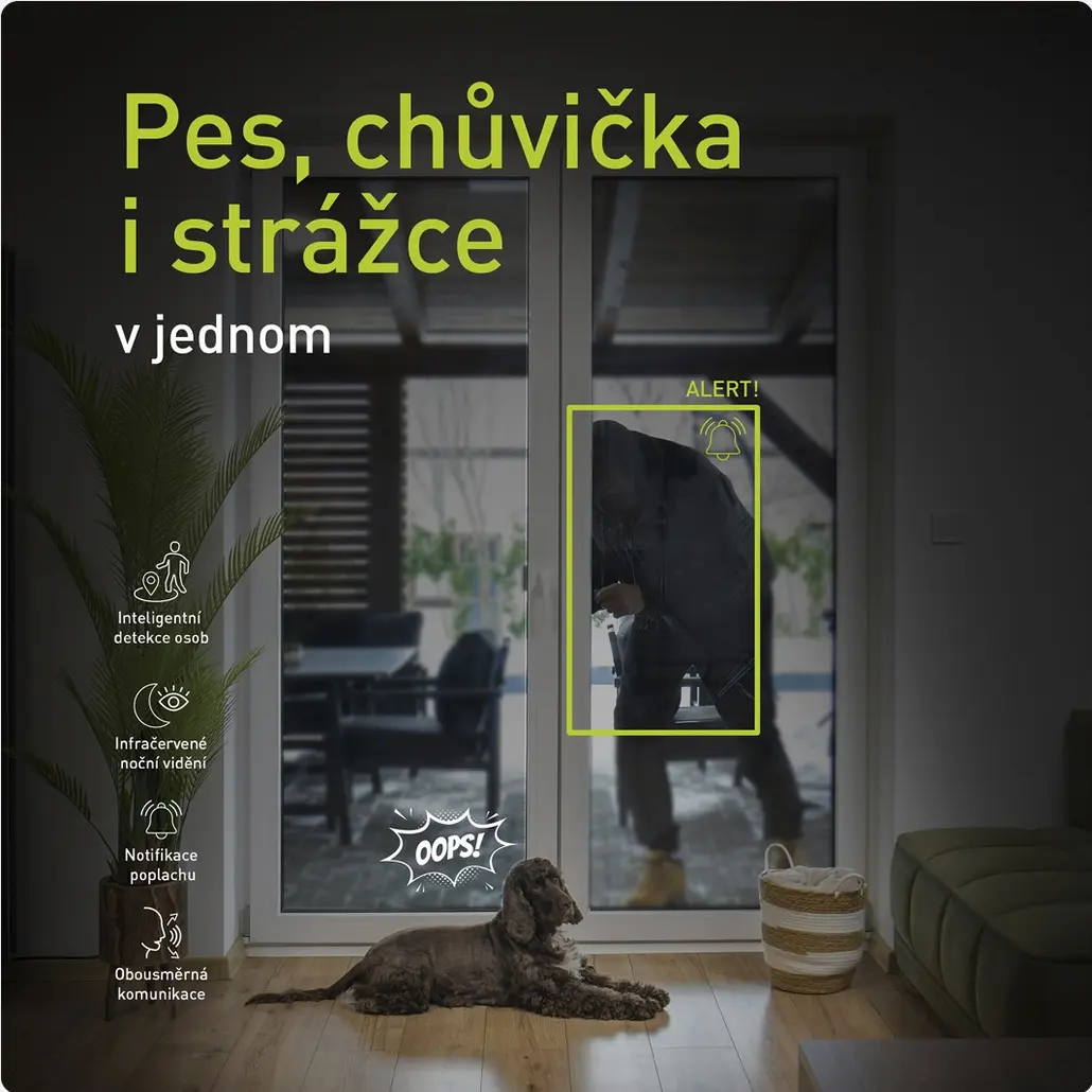 Pes, chůvička i strážce v jednom