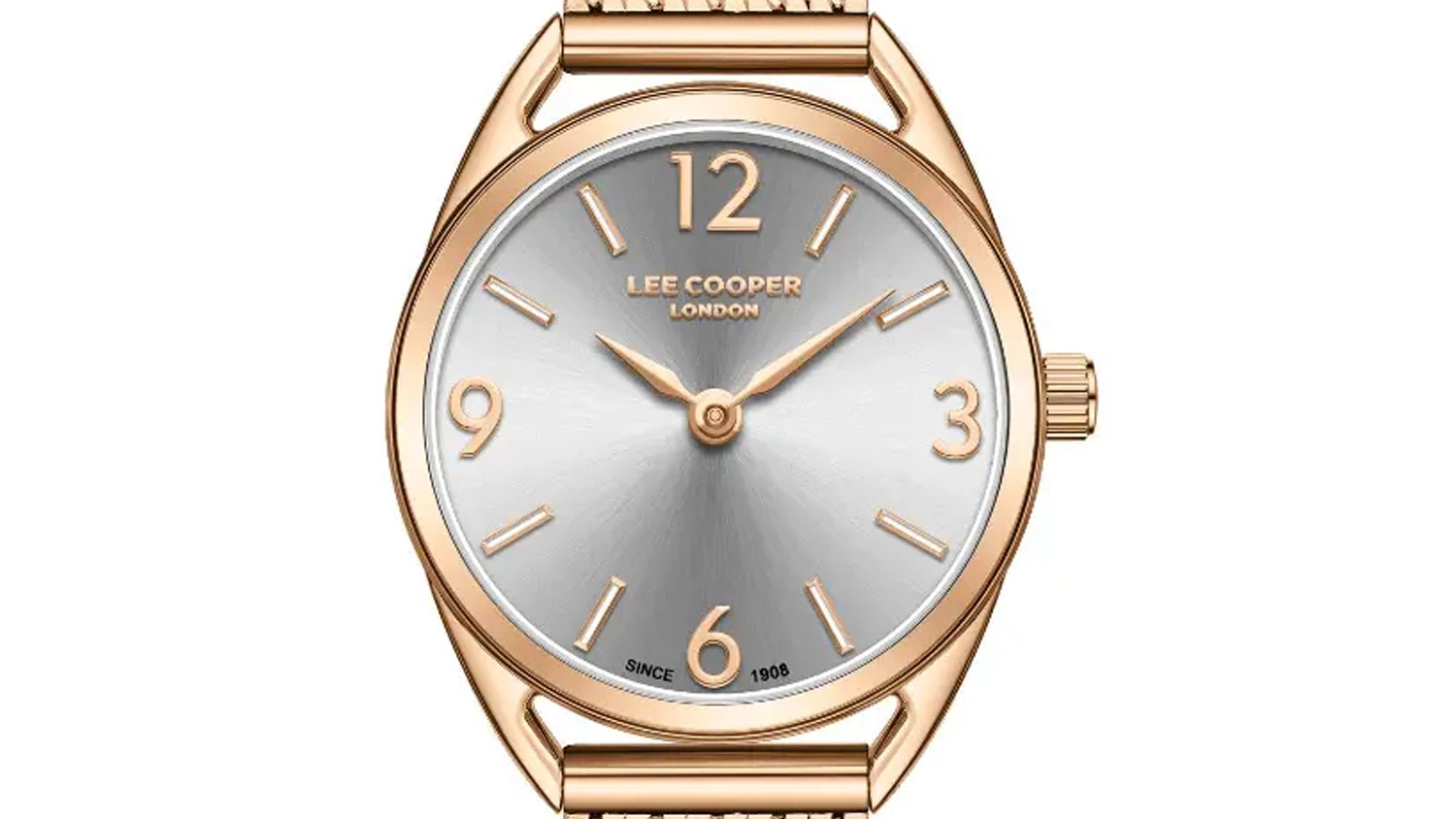 Dámské hodinky Lee Cooper LC08207.460 detail ciferníku