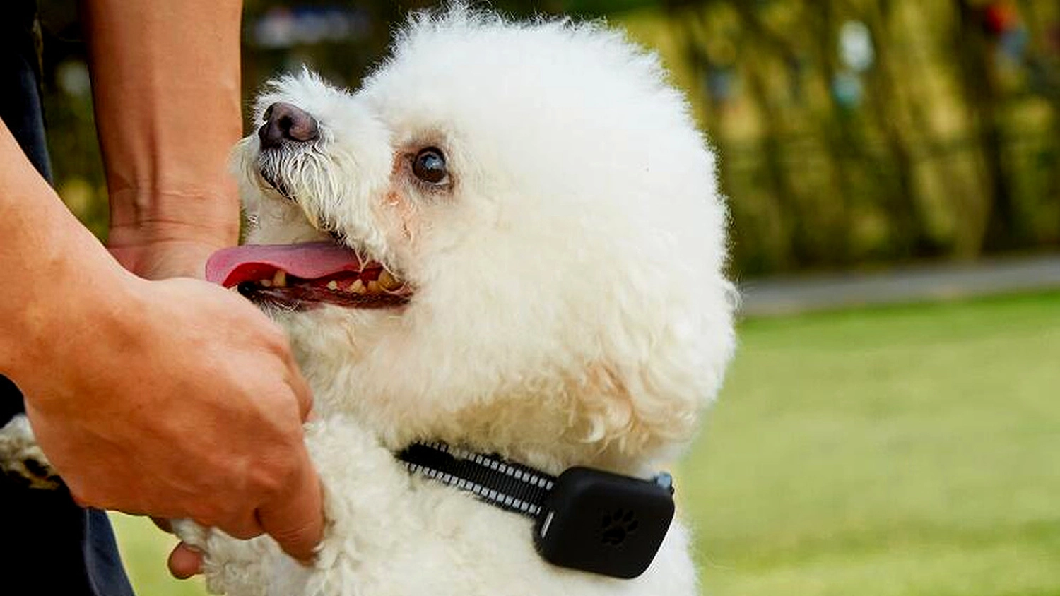 Pejsek s Gps lokátorem CARNEO DogSAFE+ GPS