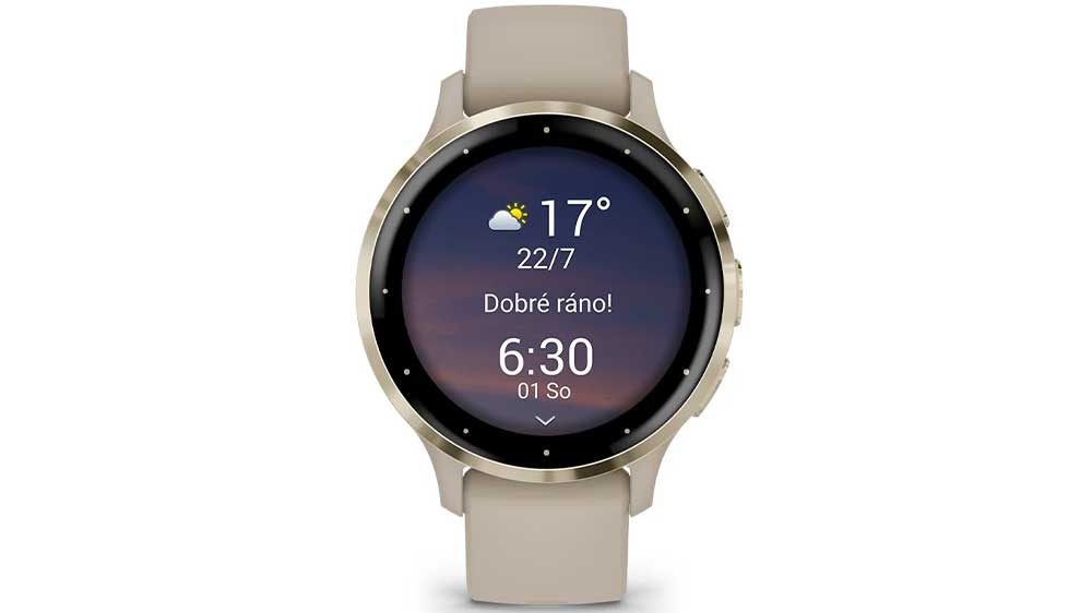 Chytré hodinky Garmin VENU 3 3S SAGE GRAY/SILVER_01