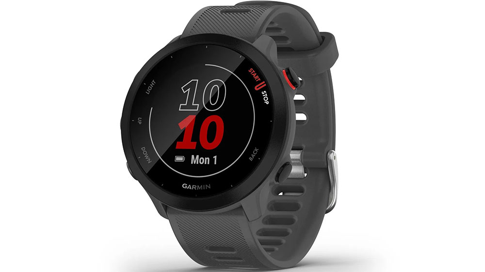 Chytré hodinky Garmin Forerunner 55 Grey_01