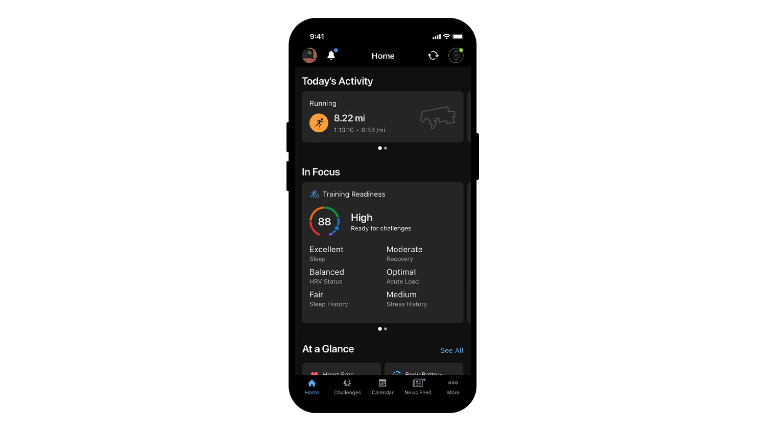 Prostřed&iacute; aplikace Garmin Connect