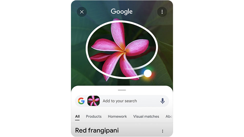 Zakroužkovaná čokoláda na obrázku s vyhledávačem Google_03
