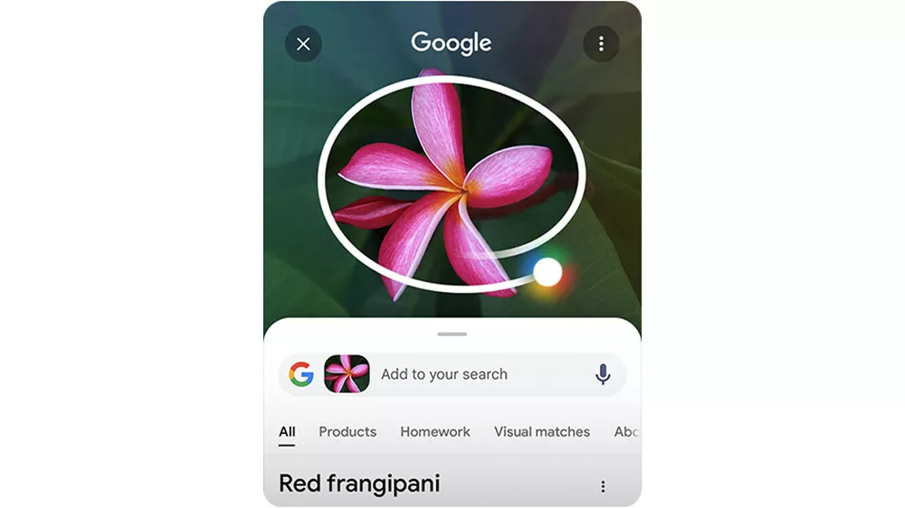 Zakroužkovan&aacute; čokol&aacute;da na obr&aacute;zku s vyhled&aacute;vačem Google_03
