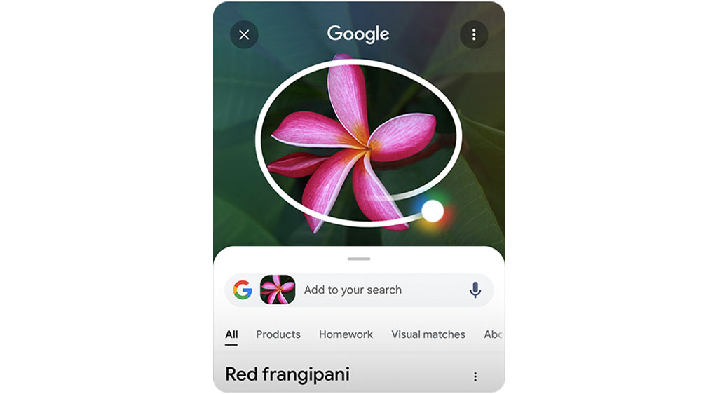 Zakroužkovaná čokoláda na obrázku s vyhledávačem Google_03