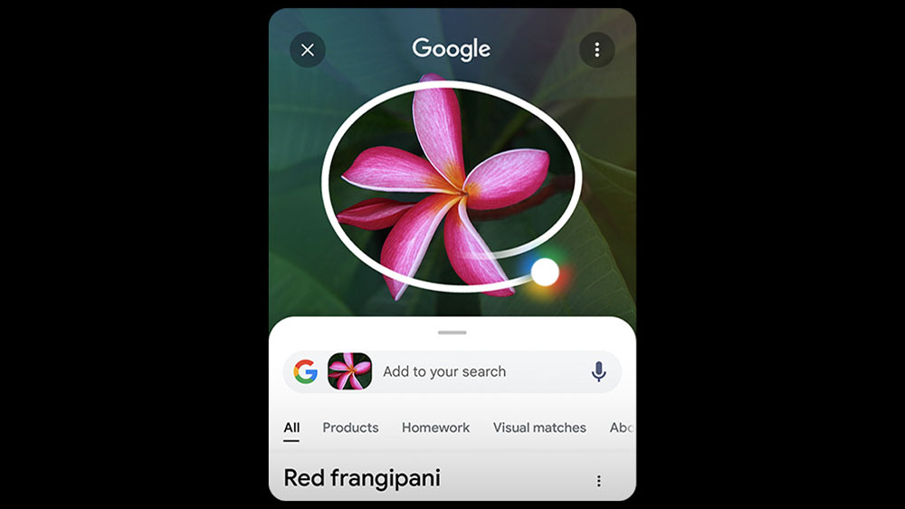 Zakroužkovaná čokoláda na obrázku s vyhledávačem Google_03