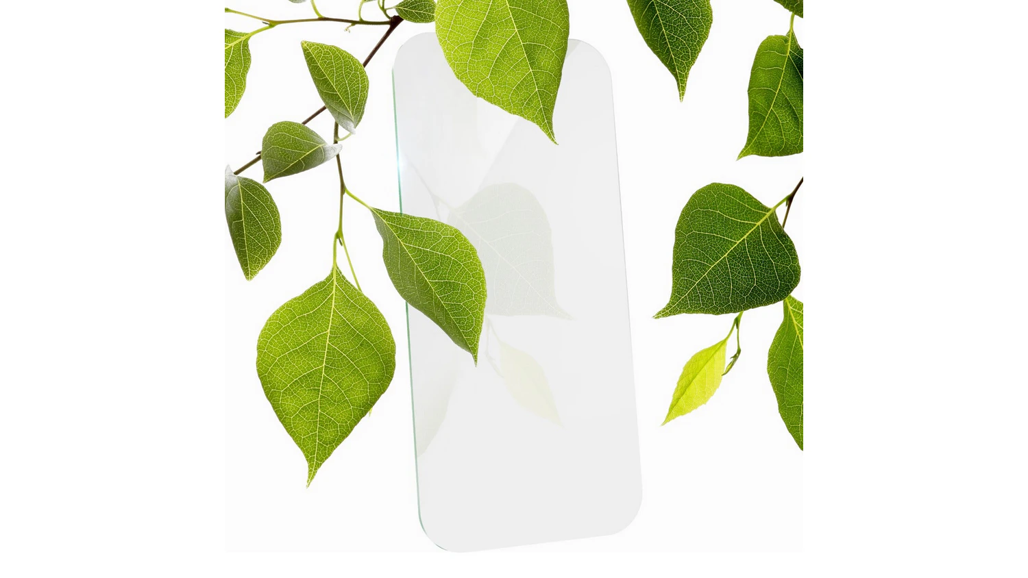 Větve s listy a ochrann&eacute; sklo Zagg InvisibleShield Flex ECO