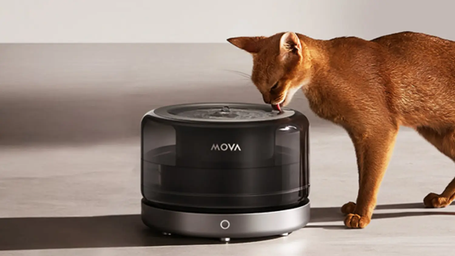 Kočka použ&iacute;vaj&iacute;c&iacute; nap&aacute;ječku pro zv&iacute;řata MOVA WF20 Pro