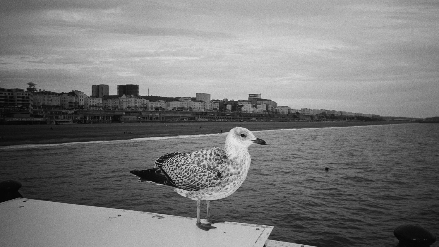 Fotografie pořízená fotoaparátem Kodak Snapic A1