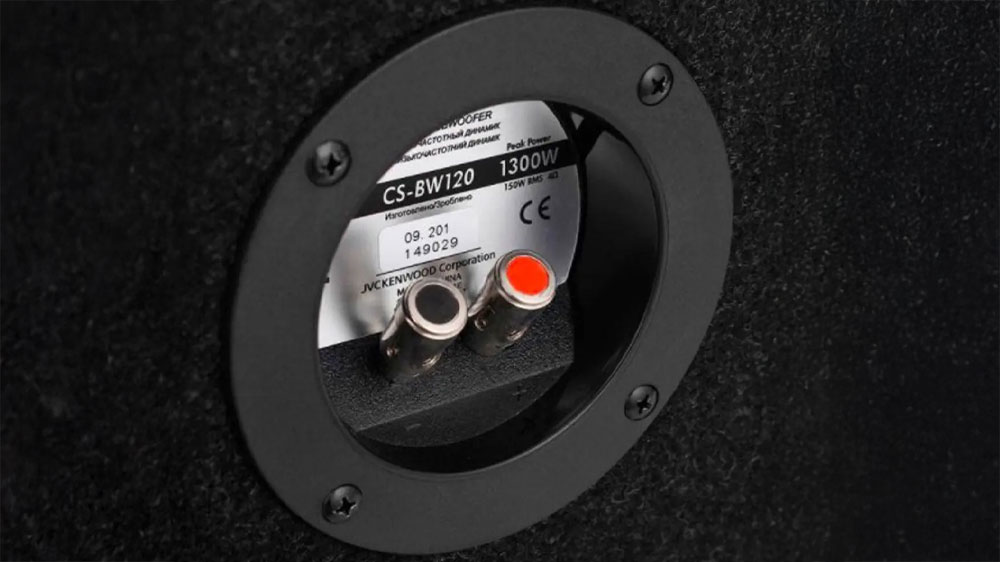 Ľudia počúvajúci hudbu pri aute_03