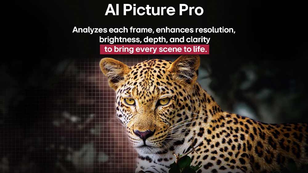 Ukážka skvelého rozlíšenia, jasu a čistoty obrazu s AI Picture Pro pri televízoru LG_04