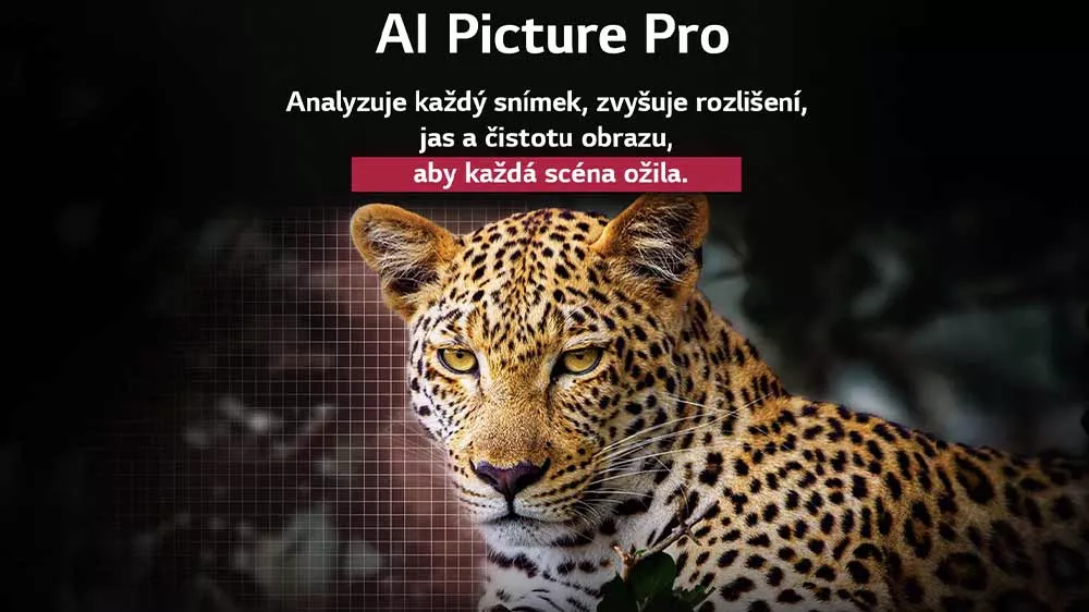 Vizualizace AI Picture Pro televize LG OLED65C54LA_04