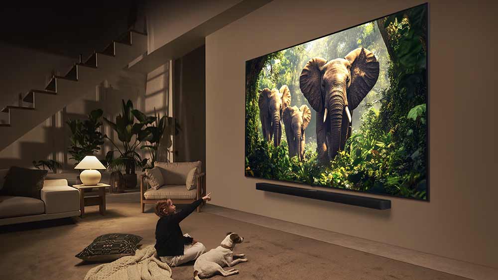 Dieťa so psom pred televízorem LG 75QNED85A6C_02