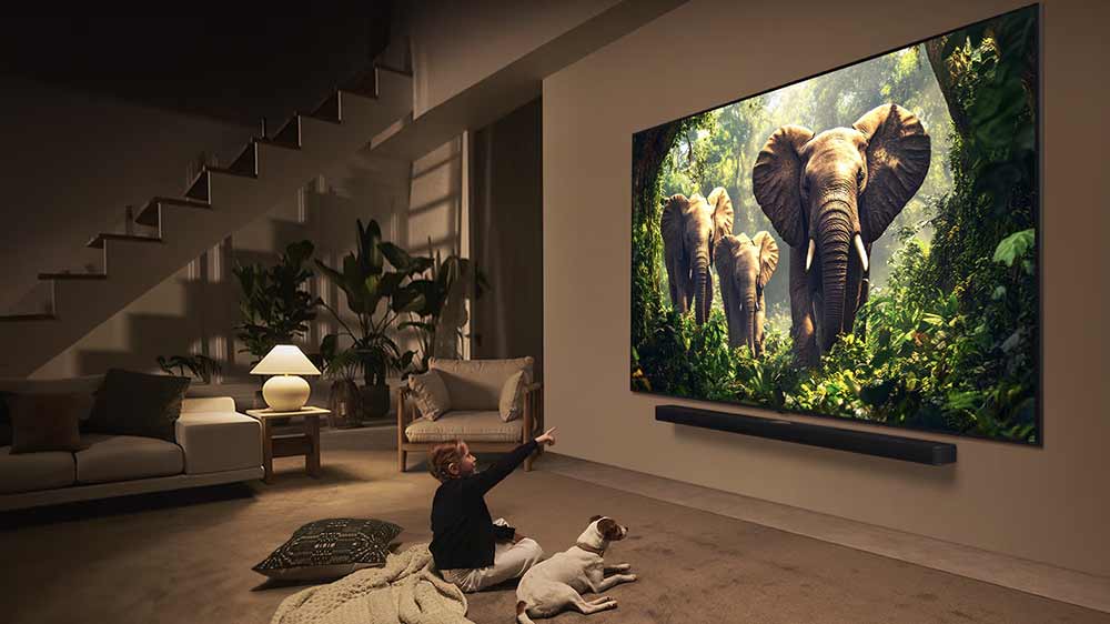 Dívka se psem sledují dokument o zvířatech na televizi LG s velkou úhlopříčkou, která je zavěšená na stěně_02