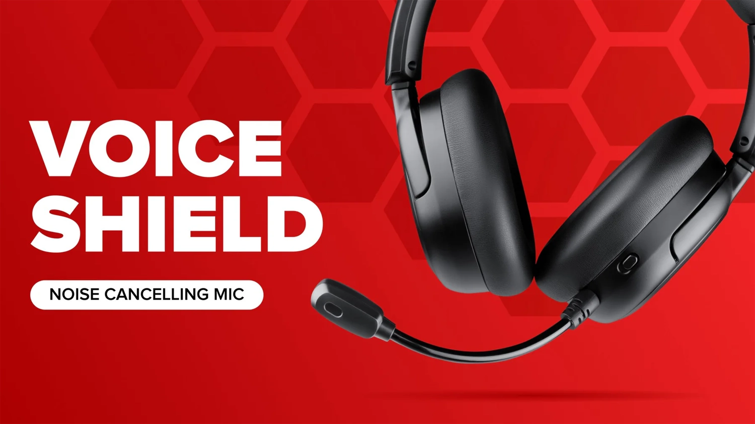 Voice shield