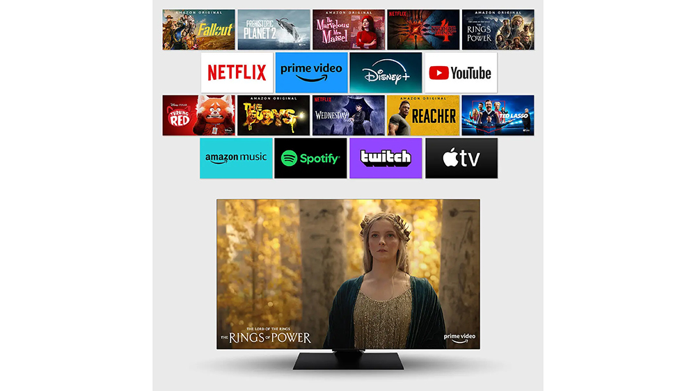 OLED televizor Panasonic TV-55Z80AEZ Netflix_06