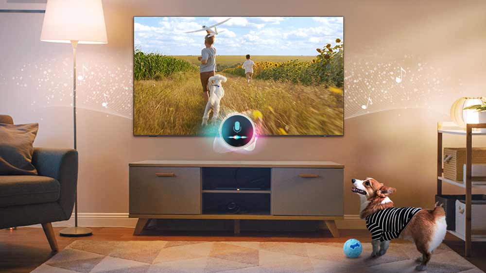 Hlasové ovládání televize Samsun_05