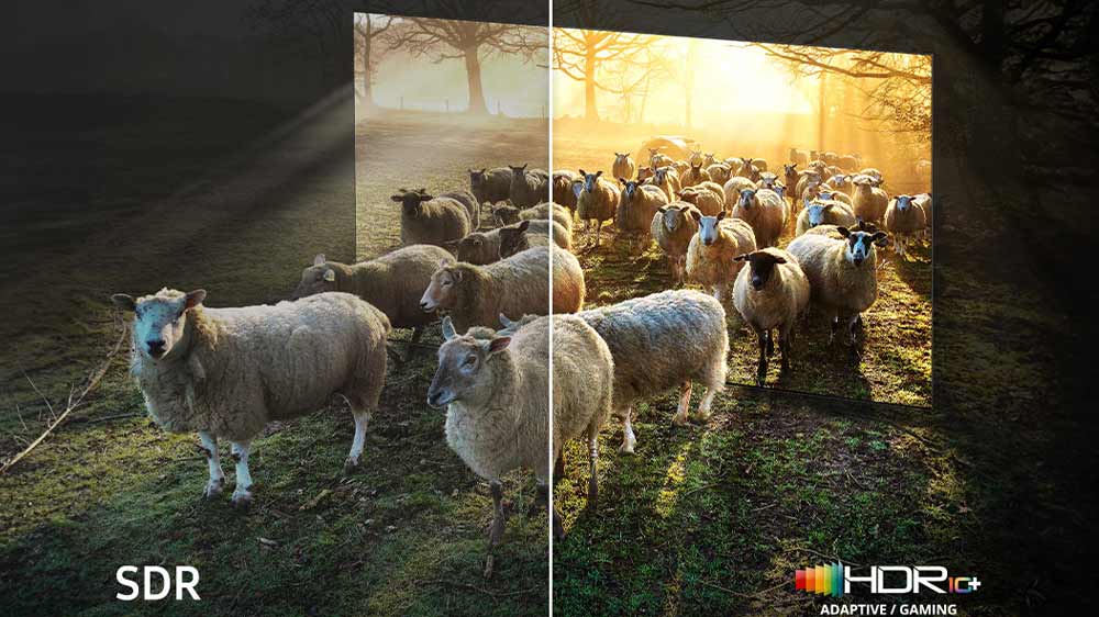 Televize Samsung QE65QN900F Neo QLED_04