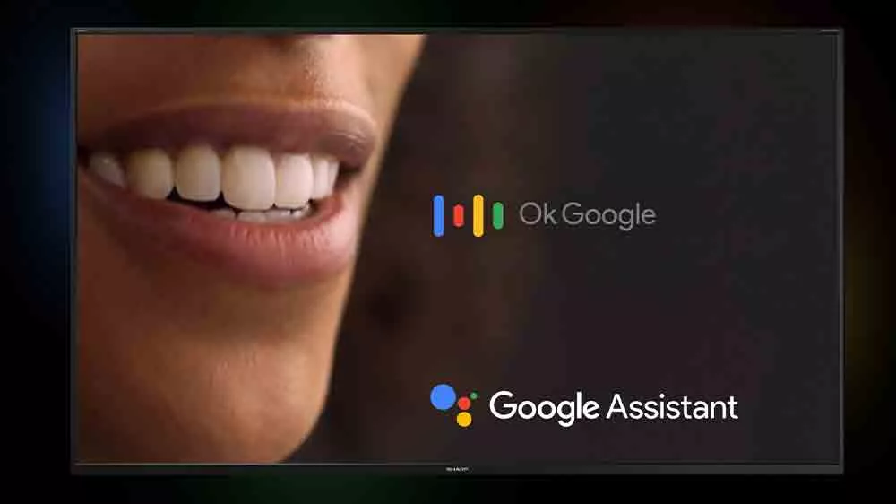 LED televize Sharp 43HL4265E s Google Asistentem_03