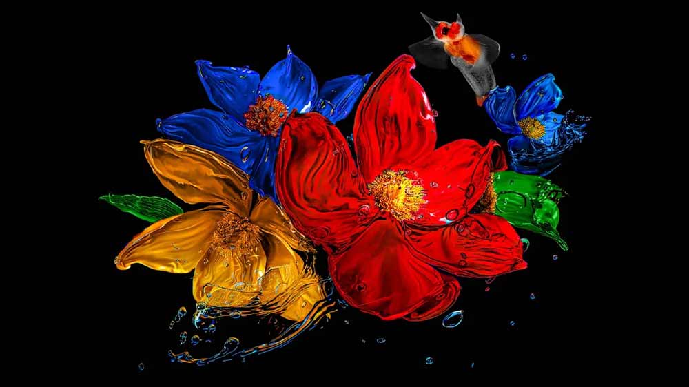 Barevné květiny ve vodě _02