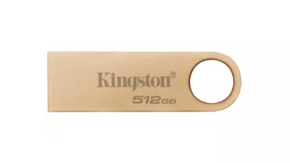 Flash disk Kingston USB DataTraveler SE9 G3_01