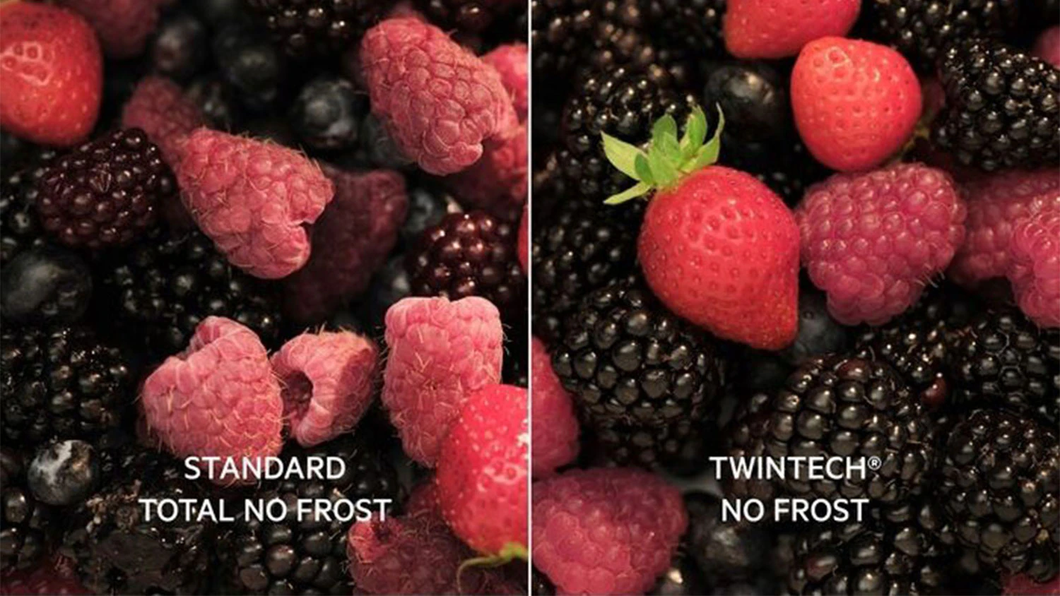 Vizualizace technologie TwinTech No Frost