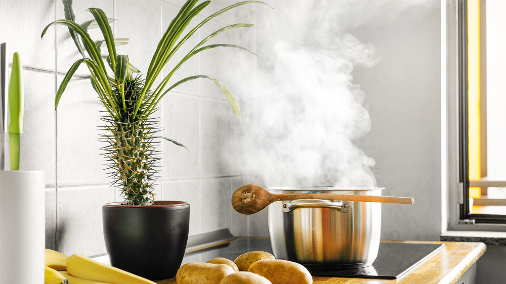 Hrnec plný páry na plotně_02