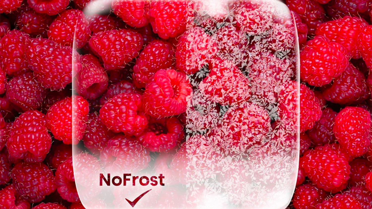 Ovoce a grafika NoFrost