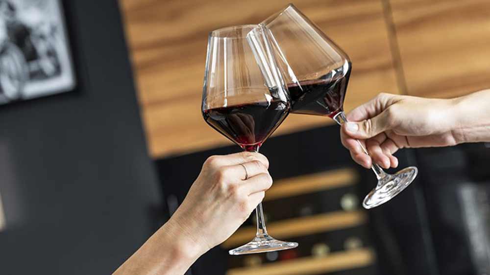 Lidé ťukající si skleničkami s vínem_04