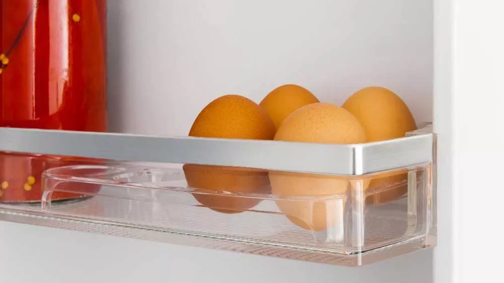 Zásobník na vajíčka ledničky Amica BK3055.6 NFM(E)_04