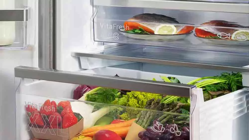 Z&aacute;suvka VitaFresh XXL u kombinovan&eacute; chladničky Bosch KGN392I1F_02