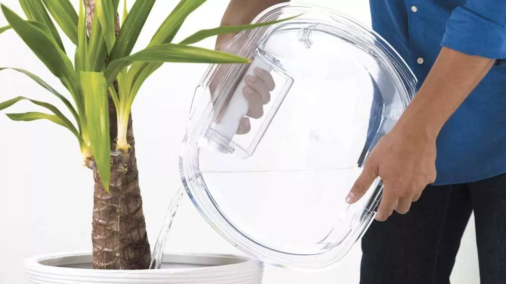 Zalévání květiny nádobou na vylévání vody Easy Case_03