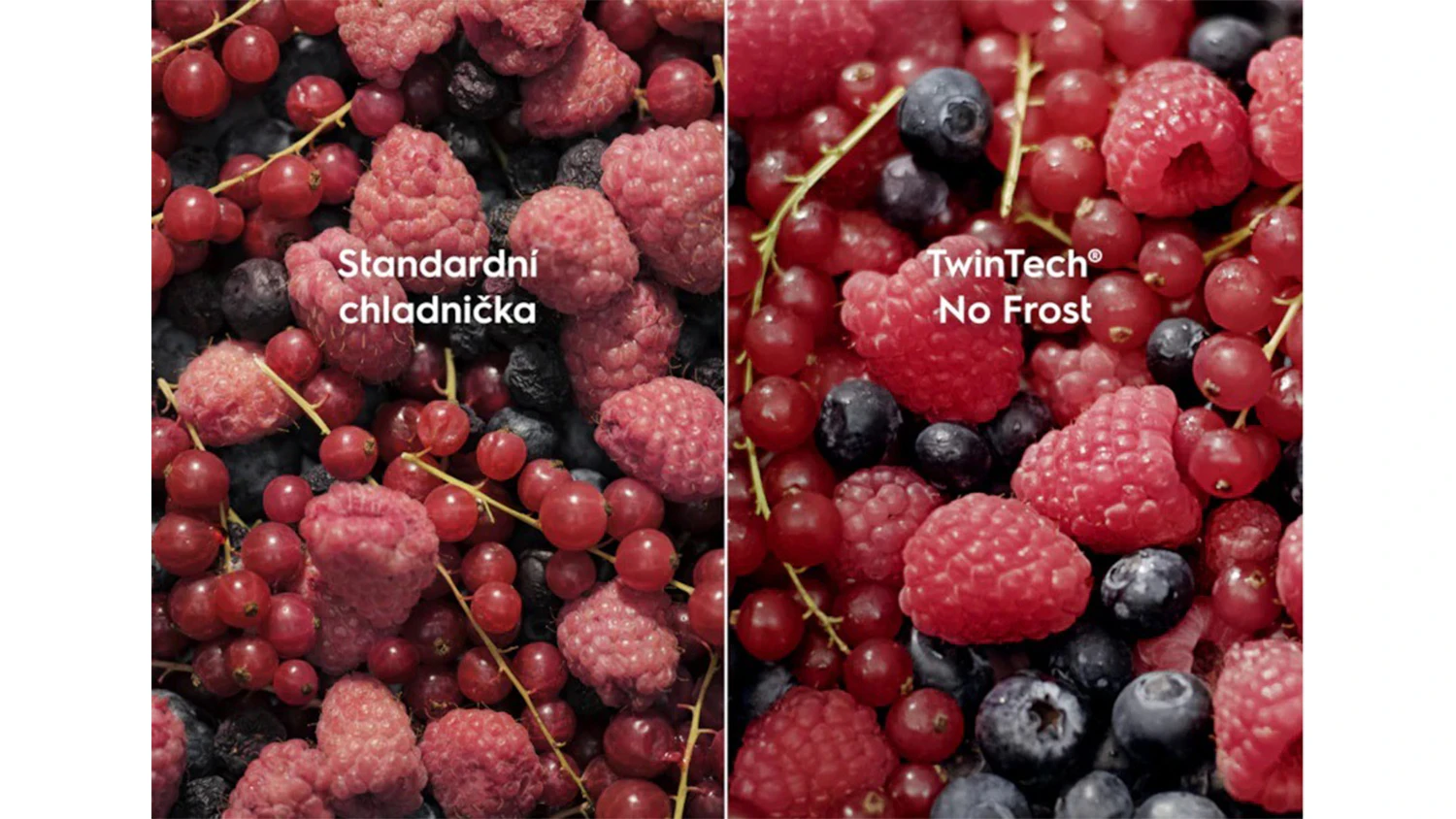 Mražené ovoce ve standardní chladničce vs mražené ovoce v chladničce Electrolux s TwinTech No Frost
