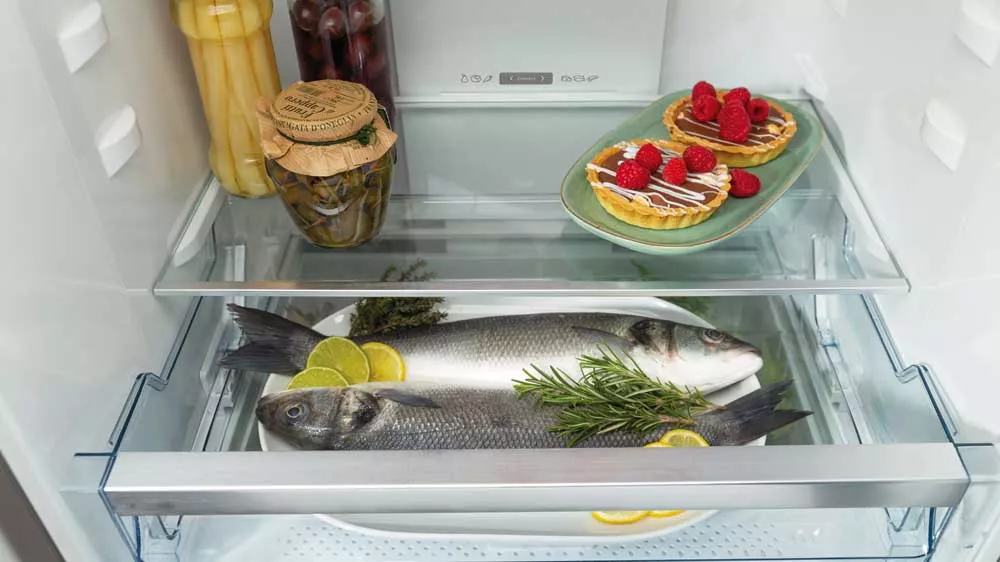 Ryby v kombinovan&eacute; chladničce GORENJE NRK692XL5_02