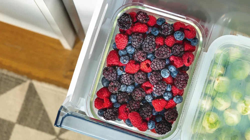 FastFreeze funkce v kombinovan&eacute; chladničce GORENJE NRK692XL5_07