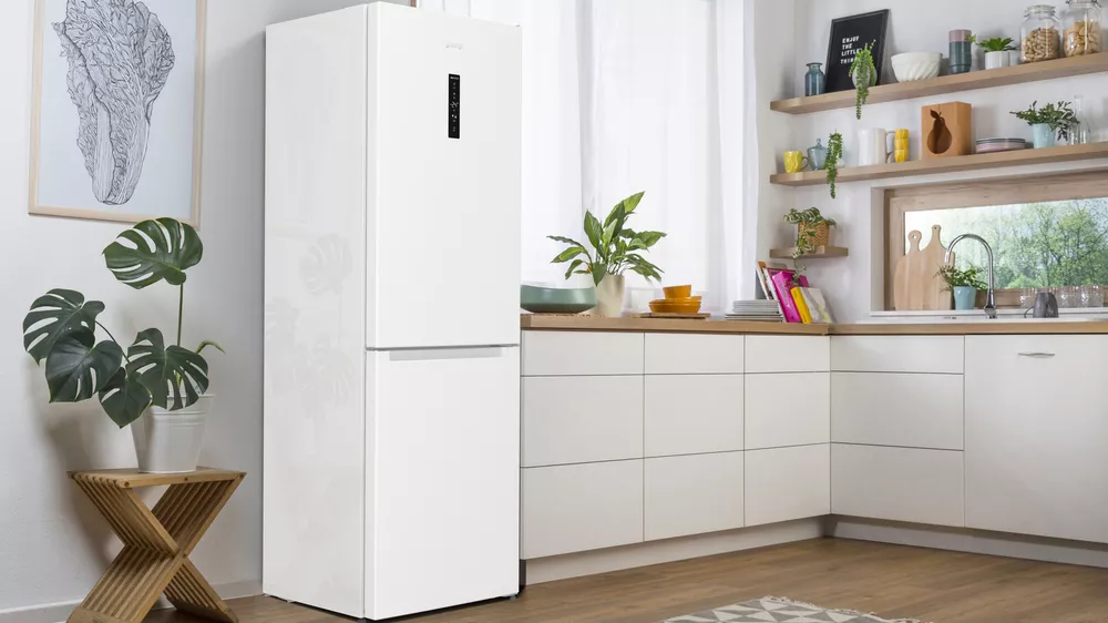 Gorenje N61EA2W4