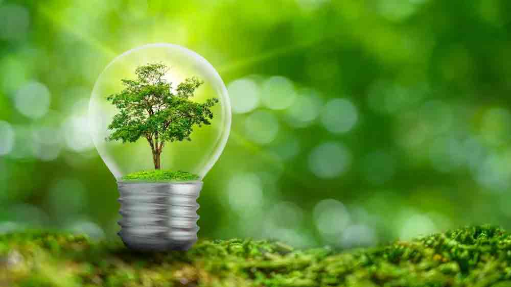 Úsporná spotřeba energie kombinované chladničky Gorenje NRK618C61X4WFE vizualizovaná žárovkou se stromem uvnitř_02