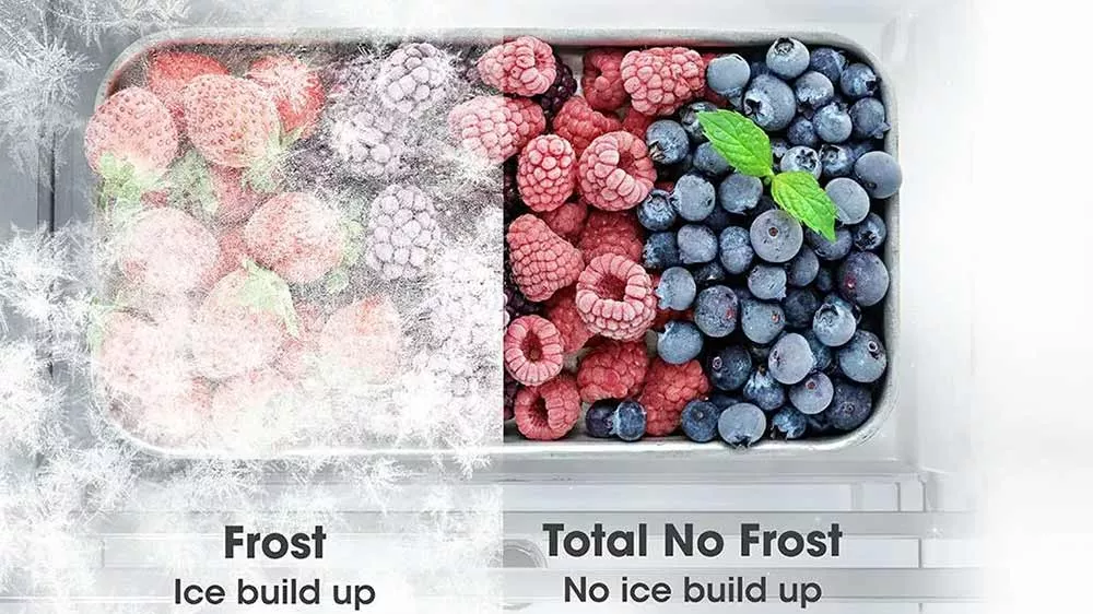 Technologie Total NoFrost šuplíkové mrazničky Hisense FV298N4ACE_03