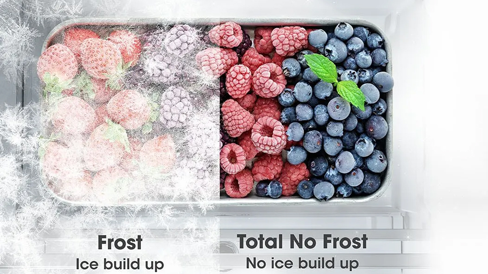 Ovoce s námrazou Frost a Total no frost_05