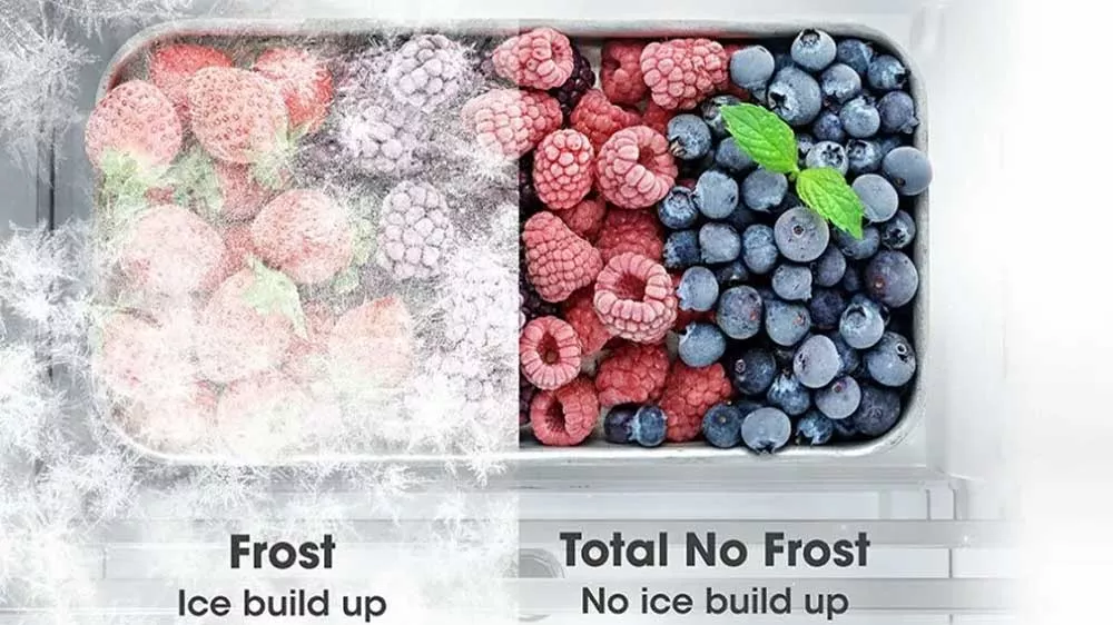 Rozdíl mezi zmraženým ovocem technologií Total NoFrost a bez ní_04