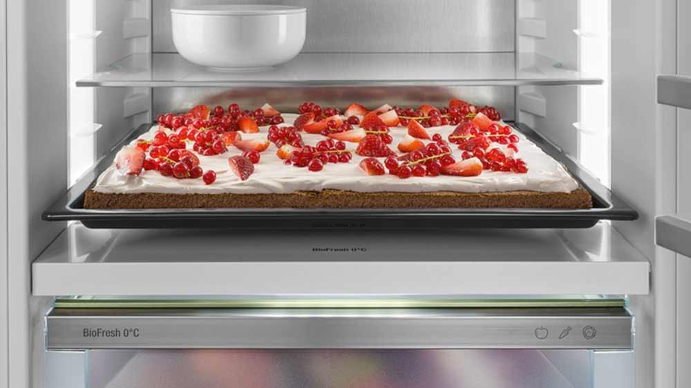 Plech uložený v lednici Liebherr Pure NoFrost IKGNS 51Vd03_04