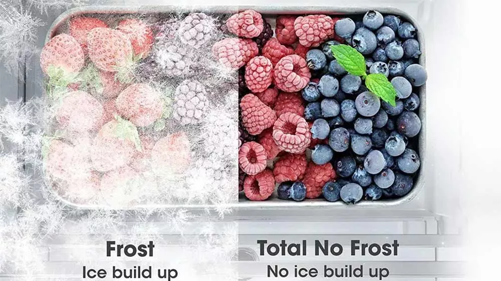 Mražen&eacute; ovoce s No Frost technologi&iacute; a bez n&iacute; _05