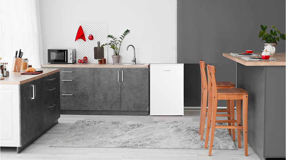 Monoklimatická chladnička PHILCO PTL 93 EW