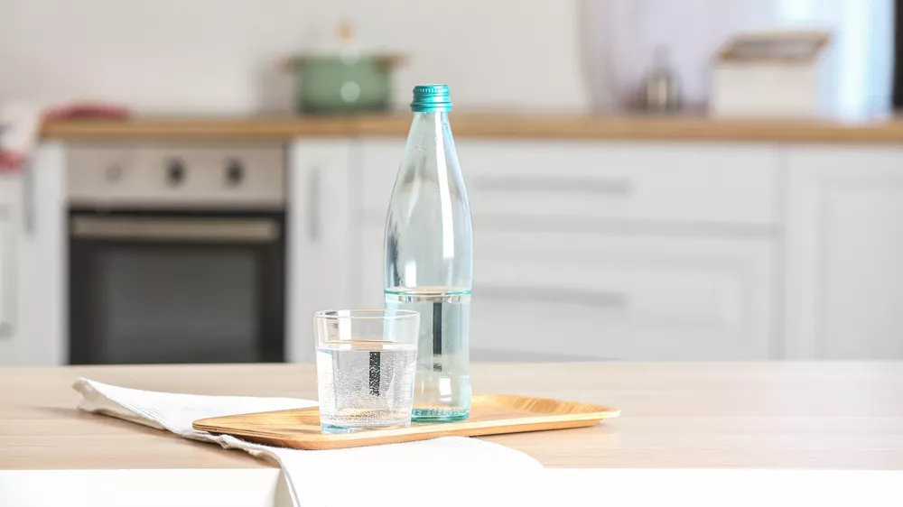 Chlazen&aacute; lahev vody z kombinovan&eacute; chladničky PHILCO PCI 174 EW_02