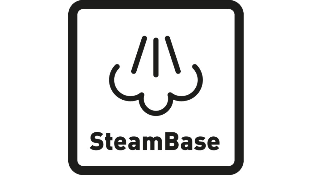 Šťavnaté pečení s párou