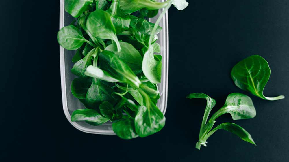 Chlazený špenát_03