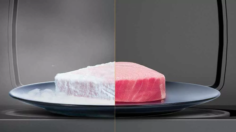 Steak z tuňáka na talíři v mikrovlnné troubě rozdělený na 2 poloviny s ukázkou mražené části a rozmražené části_05