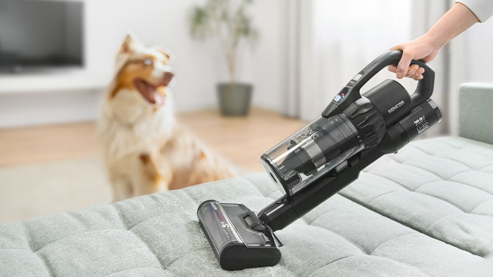 Vysávání chlupů domácích mazlíčků