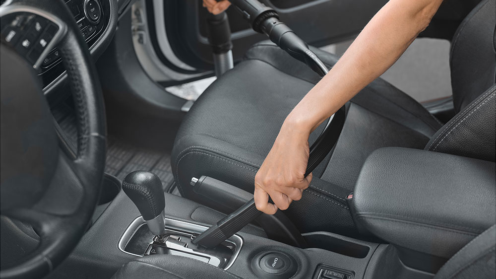 Zvládne auto i psí chlupy