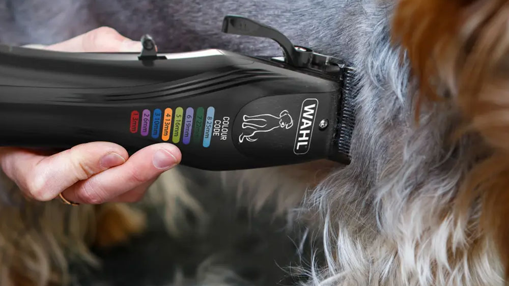 Stříhání psa se zastřihovačem srsti WAHL Colour Pro_02